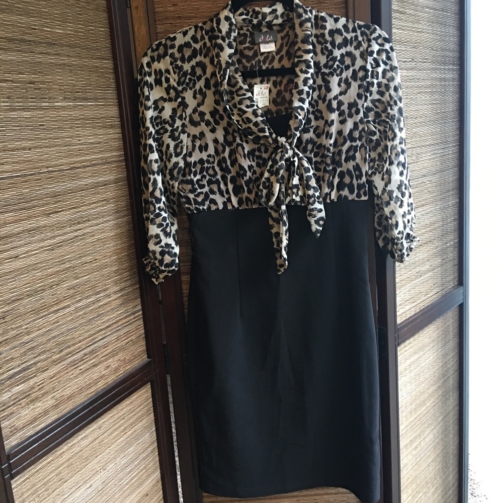 Leopard Print Dress